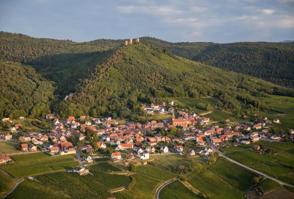 Gite Des Trois Chateaux Husseren-les-Châteaux Екстериор снимка